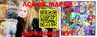 индика Кимры