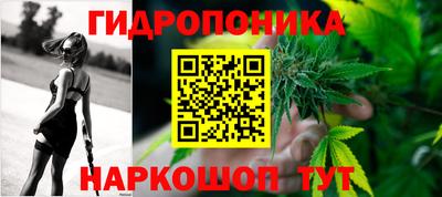 индика Кимры