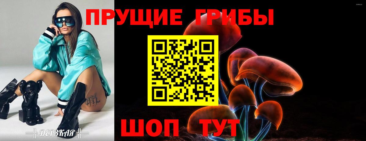 Красноуфимск  Псилоцибиновые грибы MAGIC MUSHROOMS  Вход с VPN 